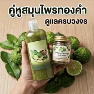 โปรโมชั่นกิตติกรณ์สมุนไพร แชมพูมะกรูดคู่กับยาดมมะกรูด ราคา 120 บาท