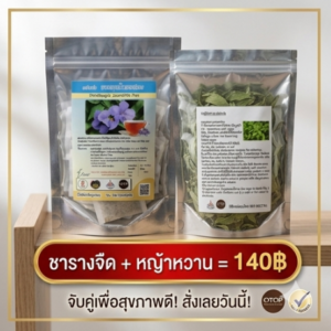 โปรโมชั่นกิตติกรณ์สมุนไพร ชารางจืดคู่หญ้าหวาน ราคา 140 บาท