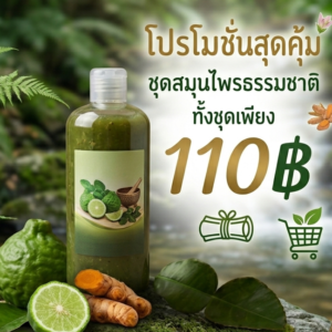 โปรโมชั่นกิตติกรณ์สมุนไพร แชมพูมะกรูดและสบู่ว่านนางคำ ราคา 110 บาท