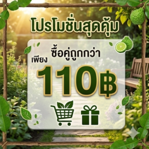 โปรโมชั่นกิตติกรณ์สมุนไพร ยาดมมะกรูดและน้ำมันเขียว ราคา 110 บาท