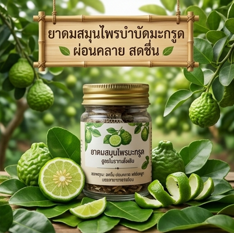 โปรโมชั่น “น้ำมันฟ้าทะลายโจร + ยาดมมะกรูด” กิตติกรณ์สมุนไพร 🌿 โปรโมชั่น “น้ำมันฟ้าทะลายโจร + ยาดมมะกรูด” กิตติกรณ์สมุนไพร 🌿