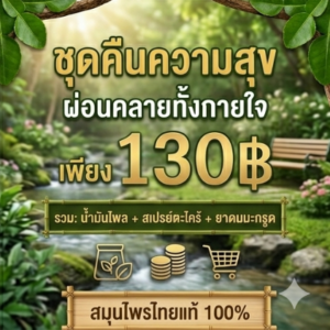 ชุดไพลเหลือง ตะไคร้หอม ยาดมมะกรูด – กิตติกรณ์สมุนไพร 🌿
