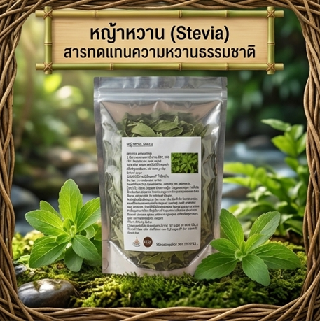 โปรกิตติกรณ์ สบู่ว่านนางคำ + น้ำมันว่าน + หญ้าหวาน 180฿ โปรโมชั่นกิตติกรณ์ สบู่ว่านนางคำ น้ำมันว่าน และหญ้าหวาน ราคา 180 บาท