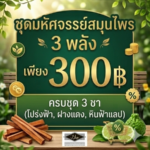โปรโมชั่นกิตติกรณ์ชาใบโปร่งฟ้า ชาฝางแดง และชาหินฟ้าแลป