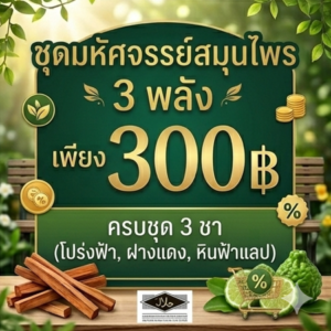 โปรโมชั่นกิตติกรณ์ชาใบโปร่งฟ้า ชาฝางแดง และชาหินฟ้าแลป