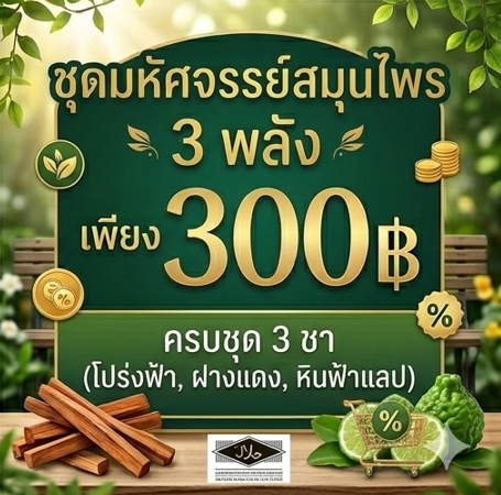 โปรกิตติกรณ์ ชาใบโปร่งฟ้า + ชาฝางแดง + ชาหินฟ้าแลป โปรโมชั่นกิตติกรณ์ชาใบโปร่งฟ้า ชาฝางแดง และชาหินฟ้าแลป