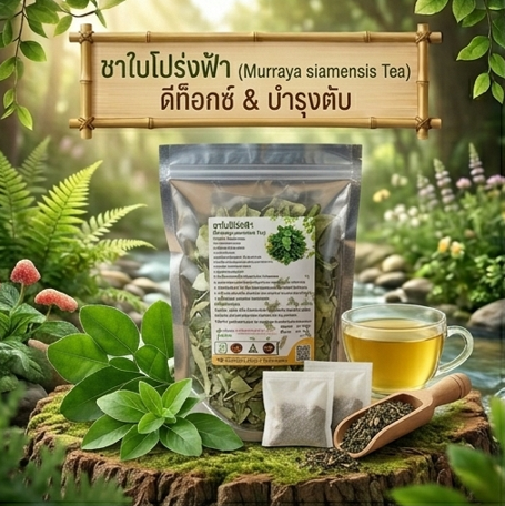 โปรกิตติกรณ์ ชาใบโปร่งฟ้า + ชาฝางแดง + ชาหินฟ้าแลป โปรโมชั่นกิตติกรณ์ชาใบโปร่งฟ้า ชาฝางแดง และชาหินฟ้าแลป