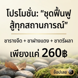 โปรโมชั่นกิตติกรณ์สมุนไพร ชารางจืด ชาฝางแดง และชาตรีผลา