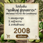 โปรโมชั่นกิตติกรณ์สมุนไพร แชมพูมะกรูด หญ้าหวาน และชาหินฟ้าแลป