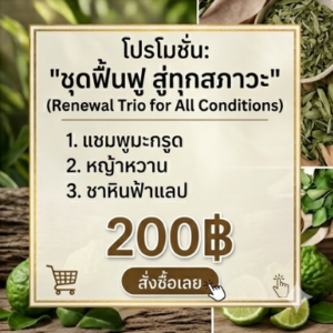 โปรโมชั่นกิตติกรณ์สมุนไพร แชมพูมะกรูด หญ้าหวาน และชาหินฟ้าแลป