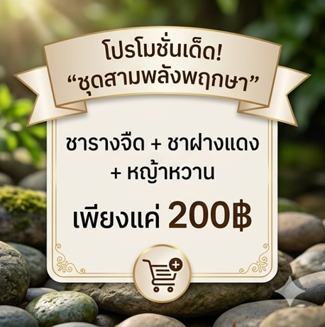 โปรกิตติกรณ์ ชารางจืด + ชาฝางแดง + หญ้าหวาน โปรโมชั่นกิตติกรณ์สมุนไพร ชารางจืด ชาฝางแดง และหญ้าหวาน