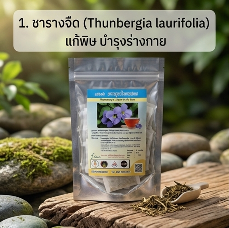 โปรกิตติกรณ์ ชารางจืด + ชาฝางแดง + หญ้าหวาน โปรโมชั่นกิตติกรณ์สมุนไพร ชารางจืด ชาฝางแดง และหญ้าหวาน