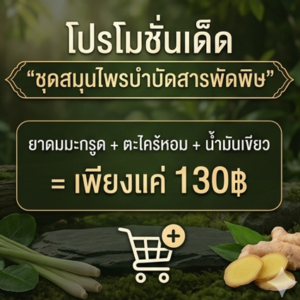 โปรโมชั่นกิตติกรณ์ ยาดม ตะไคร้หอม และน้ำมันเขียว ราคาพิเศษ