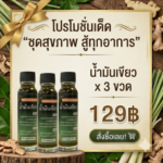 โปรโมชั่นกิตติกรณ์น้ำมันเขียว 3 ขวด ราคาพิเศษ