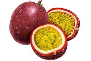 เสาวรส