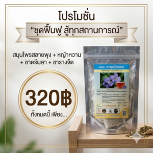 โปรโมชั่นกิตติกรณ์สมุนไพร สลายพุง หญ้าหวาน ชาตรีผลา ชารางจืด ราคา 320 บาท