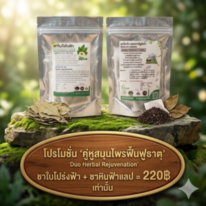โปรโมชั่นกิตติกรณ์ ชาใบโปร่งฟ้า และชาหินฟ้าแลป